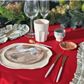 Exclusive plate designs by Komet ceramics